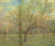 Vincent Van Gogh The White Orchard (nn04) USA oil painting reproduction